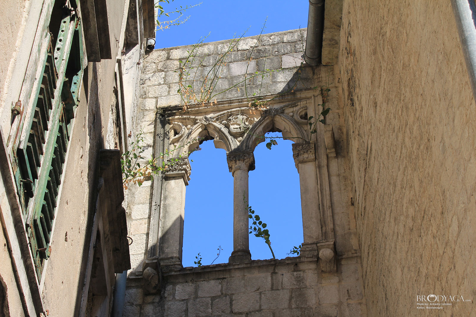 Kotor